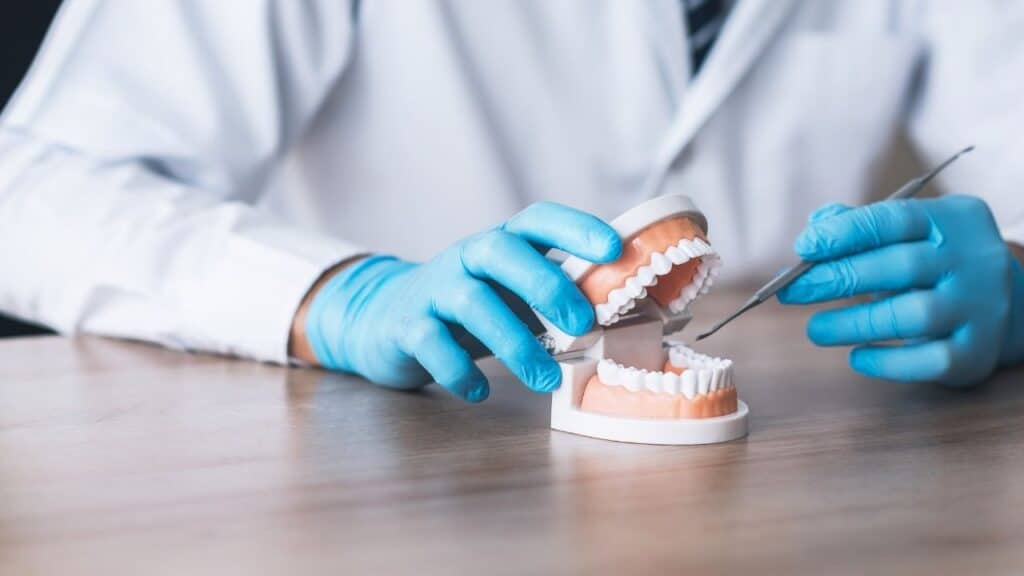 hygienist services in brighton